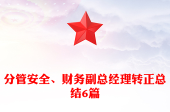 分管安全、財(cái)務(wù)副總經(jīng)理轉(zhuǎn)正總結(jié)6篇