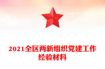 2021全區(qū)兩新組織黨建工作經(jīng)驗材料