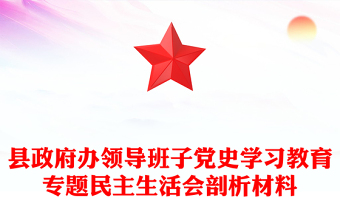 縣政府辦領(lǐng)導(dǎo)班子黨史學(xué)習(xí)教育專(zhuān)題民主生活會(huì)剖析材料