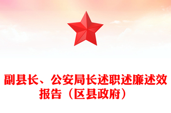 副縣長(zhǎng)、公安局長(zhǎng)述職述廉述效報(bào)告（區(qū)縣政府）