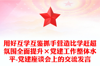 用好互學互鑒抓手營造比學趕超氛圍全面提升×黨建工作整體水平-黨建座談會上的交流發(fā)言