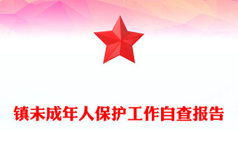 鎮未成年人保護工作自查報告