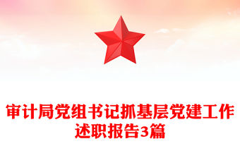 審計局黨組書記抓基層黨建工作述職報告3篇