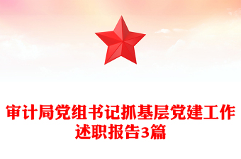 審計(jì)局黨組書記抓基層黨建工作述職報(bào)告3篇