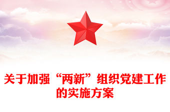 關(guān)于加強(qiáng)“兩新”組織黨建工作的實(shí)施方案