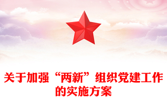 關(guān)于加強“兩新”組織黨建工作的實施方案