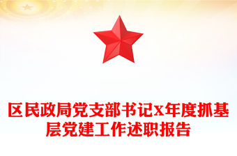 區(qū)民政局黨支部書記X年度抓基層黨建工作述職報(bào)告