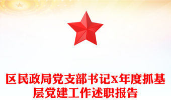 區(qū)民政局黨支部書(shū)記X年度抓基層黨建工作述職報(bào)告