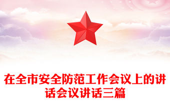 在全市安全防范工作會議上的講話會議講話三篇