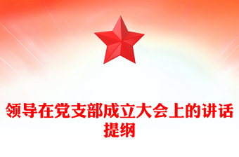 領(lǐng)導(dǎo)在黨支部成立大會上的講話提綱
