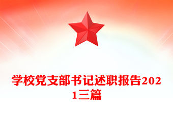 學校黨支部書記述職報告2021三篇