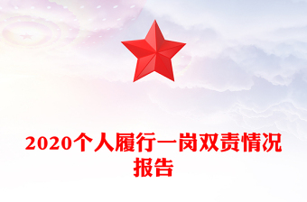 2020個人履行一崗雙責情況報告