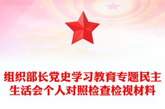 組織部長(zhǎng)黨史學(xué)習(xí)教育專(zhuān)題民主生活會(huì)個(gè)人對(duì)照檢查檢視材料