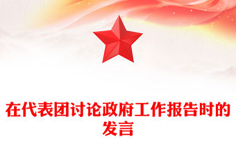 在代表團討論政府工作報告時的發言