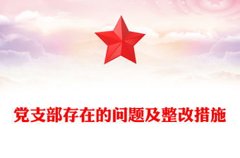 黨支部存在的問題及整改措施