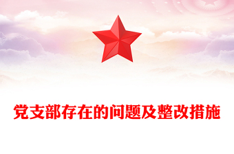 黨支部存在的問題及整改措施