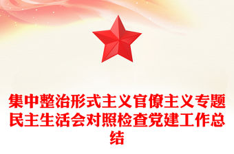 集中整治形式主義官僚主義專題民主生活會對照檢查黨建工作總結