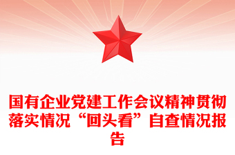 國(guó)有企業(yè)黨建工作會(huì)議精神貫徹落實(shí)情況“回頭看”自查情況報(bào)告