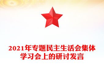 2021年專題民主生活會集體學習會上的研討發言