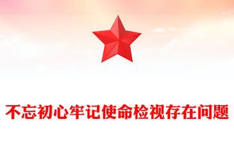 不忘初心牢記使命檢視存在問題