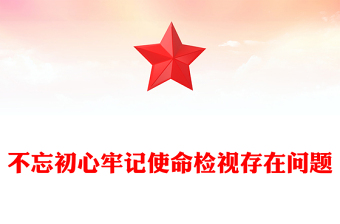 不忘初心牢記使命檢視存在問(wèn)題