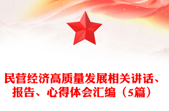 民營(yíng)經(jīng)濟(jì)高質(zhì)量發(fā)展相關(guān)講話、報(bào)告、心得體會(huì)匯編（5篇）