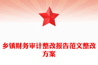 鄉鎮財務審計整改報告范文整改方案