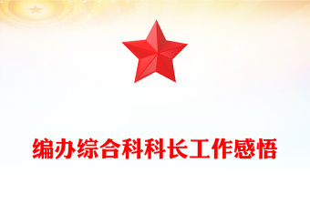 編辦綜合科科長工作感悟