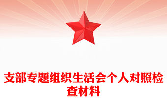 支部專題組織生活會個人對照檢查材料