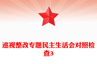 巡視整改專題民主生活會對照檢查3