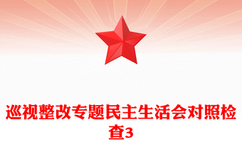 巡視整改專題民主生活會對照檢查3