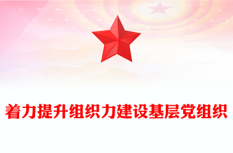 著力提升組織力建設基層黨組織