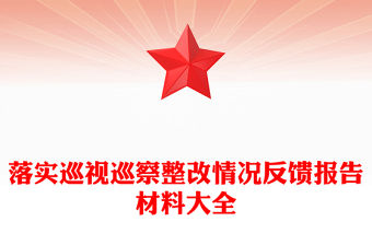 落實(shí)巡視巡察整改情況反饋報(bào)告材料大全