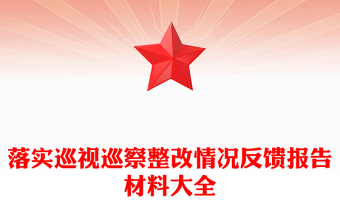 落實巡視巡察整改情況反饋報告材料大全