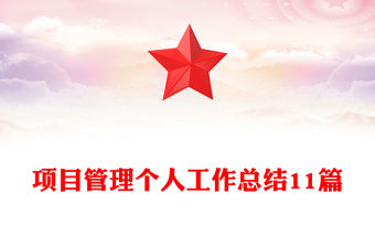 項目管理個人工作總結11篇