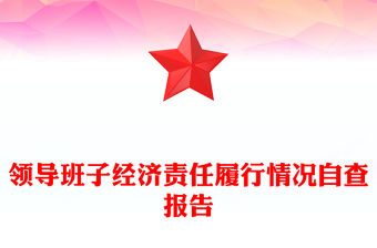 領導班子經濟責任履行情況自查報告