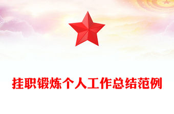 掛職鍛煉個人工作總結范例