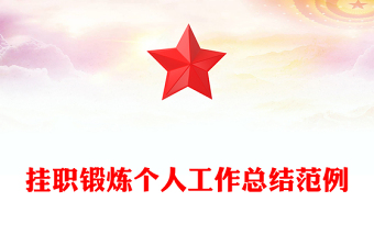 掛職鍛煉個人工作總結(jié)范例