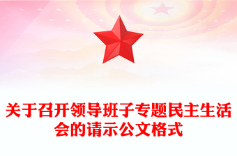 關(guān)于召開領(lǐng)導(dǎo)班子專題民主生活會的請示公文格式