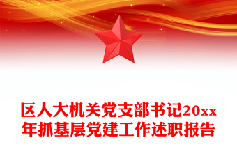 區(qū)人大機(jī)關(guān)黨支部書記20xx年抓基層黨建工作述職報(bào)告
