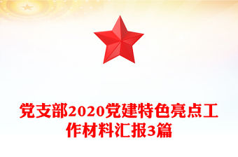 黨支部2020黨建特色亮點工作材料匯報3篇