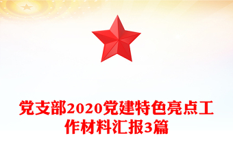 黨支部2020黨建特色亮點(diǎn)工作材料匯報(bào)3篇