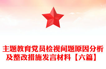 主題教育黨員檢視問題原因分析及整改措施發言材料【六篇】