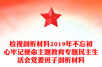 檢視剖析材料2019年不忘初心牢記使命主題教育專題民主生活會黨委班子剖析材料