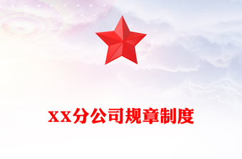 XX分公司規(guī)章制度