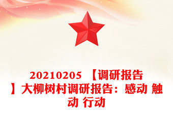 20210205 【調(diào)研報告】大柳樹村調(diào)研報告：感動 觸動 行動