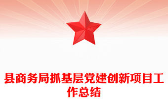 縣商務(wù)局抓基層黨建創(chuàng)新項(xiàng)目工作總結(jié)