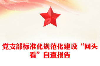 黨支部標準化規(guī)范化建設(shè)“回頭看”自查報告