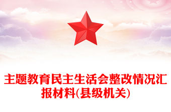 主題教育民主生活會整改情況匯報材料(縣級機關)
