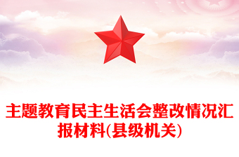 主題教育民主生活會整改情況匯報材料(縣級機關(guān))